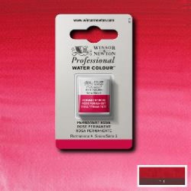 WN  PERMANENT ROSE